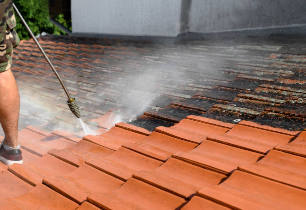 Best Pressure Washing Near Me  in Ellwood City, PA